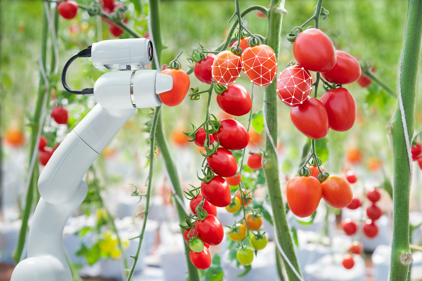 Harvesting the Potential: Faulhaber's Insights on the Agricultural Revolution of Tomorrow 